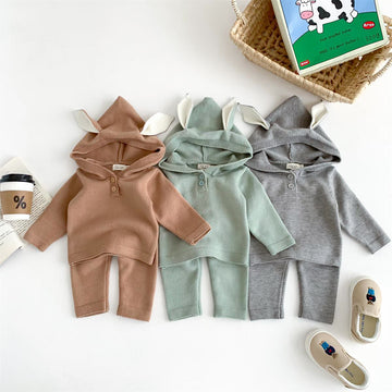 Baby Hooded Sweater and Pants Set