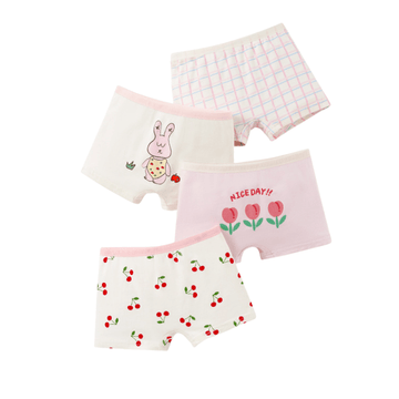 4-pack Toddler Girl Pink Briefs