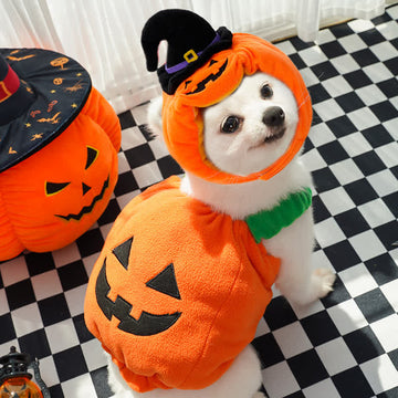 Halloween Pumpkin Pet Clothes