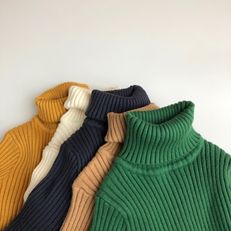 Toddler Boy Solid Color Turtleneck Sweater