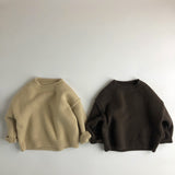 Toddler Boy Solid Color Crew Neck Sweater