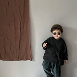 Toddler Boy Solid Color Retro Sweater