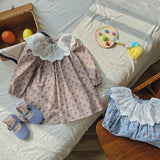 Toddler Girl Lace Collar Flower Sweet Dress
