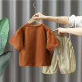 Toddler Boy Color Block Casual 2 Pieces Set
