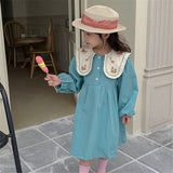 Toddler Girl Embroidered Flower Collar Princess Dress