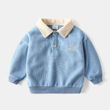 Toddler Boy Embroidered Polo Sweatshirt