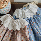 Toddler Girl Lace Collar Flower Sweet Dress