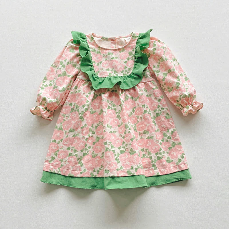 Toddler Girl Rose Printed Princess Dress