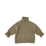 Toddler Boy Turtleneck Knitted Solid Color Sweater