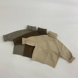 Toddler Boy Turtleneck Knitted Solid Color Sweater