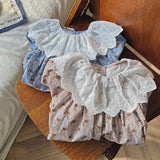 Toddler Girl Lace Collar Flower Sweet Dress