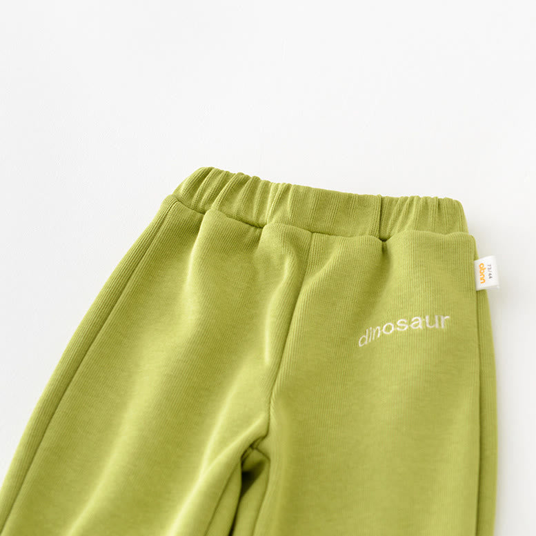 DINOSAUR Baby Casual Slogan Zipper Green Coat Pants