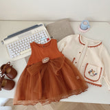 Toddler Girl Bear Sleeveless Orange Tulle Dress