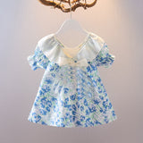 Toddler Girl Flower Bowknot Lace Collar Dress