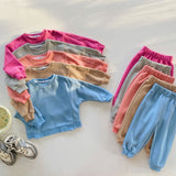 Toddler Casual Solid Color Sweatsuit 2 Pieces Set