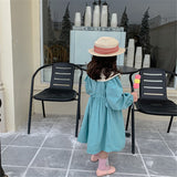 Toddler Girl Embroidered Flower Collar Princess Dress