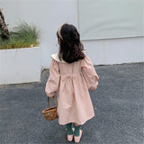 Toddler Girl Embroidered Flower Collar Princess Dress