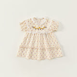 Toddler Girl Embroidered Floral Lace Collar Dress