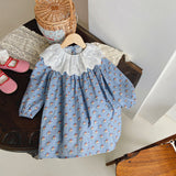 Toddler Girl Lace Collar Flower Sweet Dress
