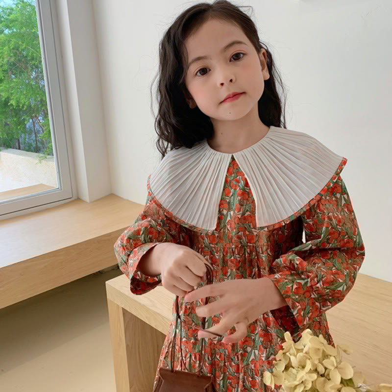 Toddler Girl Floral Red Dress