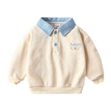 Toddler Boy Embroidered Polo Sweatshirt