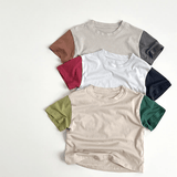 Toddler Boy Contrast Sleeve Loose Tee