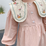 Toddler Girl Embroidered Flower Collar Princess Dress
