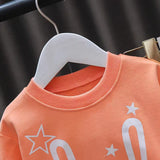 Toddler Girl Rabbit 2 Pieces Set