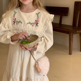 Toddler Girl Embroidered Flower Princess Dress