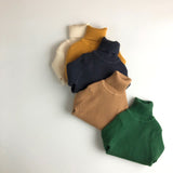 Toddler Boy Solid Color Turtleneck Sweater