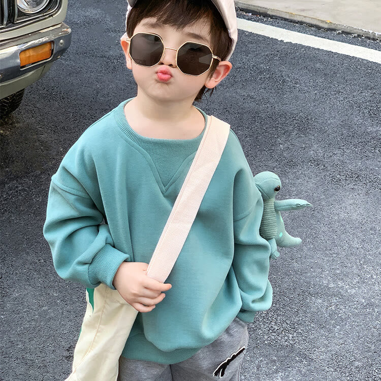 Toddler Boy Solid Color Casual Sweatshirt with Dinosaur