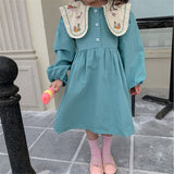 Toddler Girl Embroidered Flower Collar Princess Dress