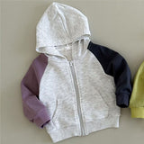 Toddler Color Block Hooded Zipper Coat