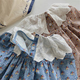 Toddler Girl Lace Collar Flower Sweet Dress