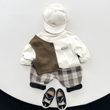 Toddler Boy Retro Plaid Casual Harem Pants