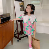 Toddler Girl Flower Lace Lapel Collar Dress