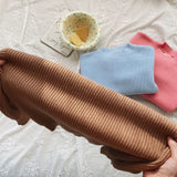 Toddler Solid Color Thin Ribbed Sweater