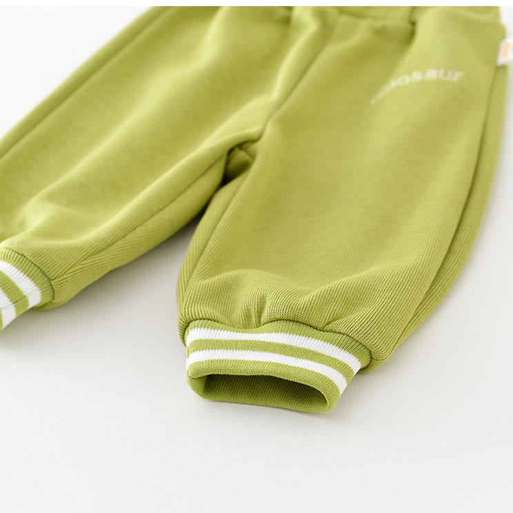 DINOSAUR Baby Casual Slogan Zipper Green Coat Pants