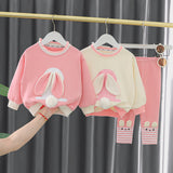 Toddler Girl Lovely Bunny 3D Ears Tail 2 Pieces Set