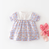 Baby Toddler Plaid Flower Dress