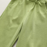 Toddler Dinosaur Sweatsuit 2 Pieces Set