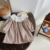 Toddler Girl Lace Collar Flower Sweet Dress
