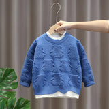 Toddler Boy Round Neck Bear Sweater