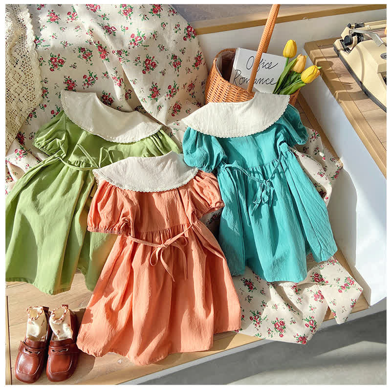 Toddler Girl Embroidered Flower Lapel Collar Dress