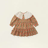 Toddler Girl Floral Red Dress