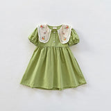 Toddler Girl Embroidered Flower Lapel Collar Dress