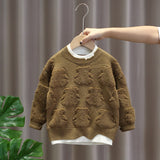 Toddler Boy Round Neck Bear Sweater