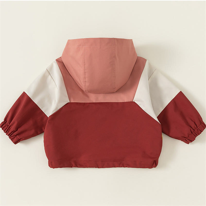 Toddler Color Block Hooded Jacket