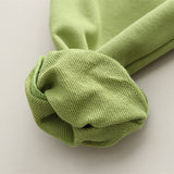 Toddler Dinosaur Sweatsuit 2 Pieces Set