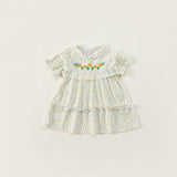 Toddler Girl Embroidered Floral Lace Collar Dress